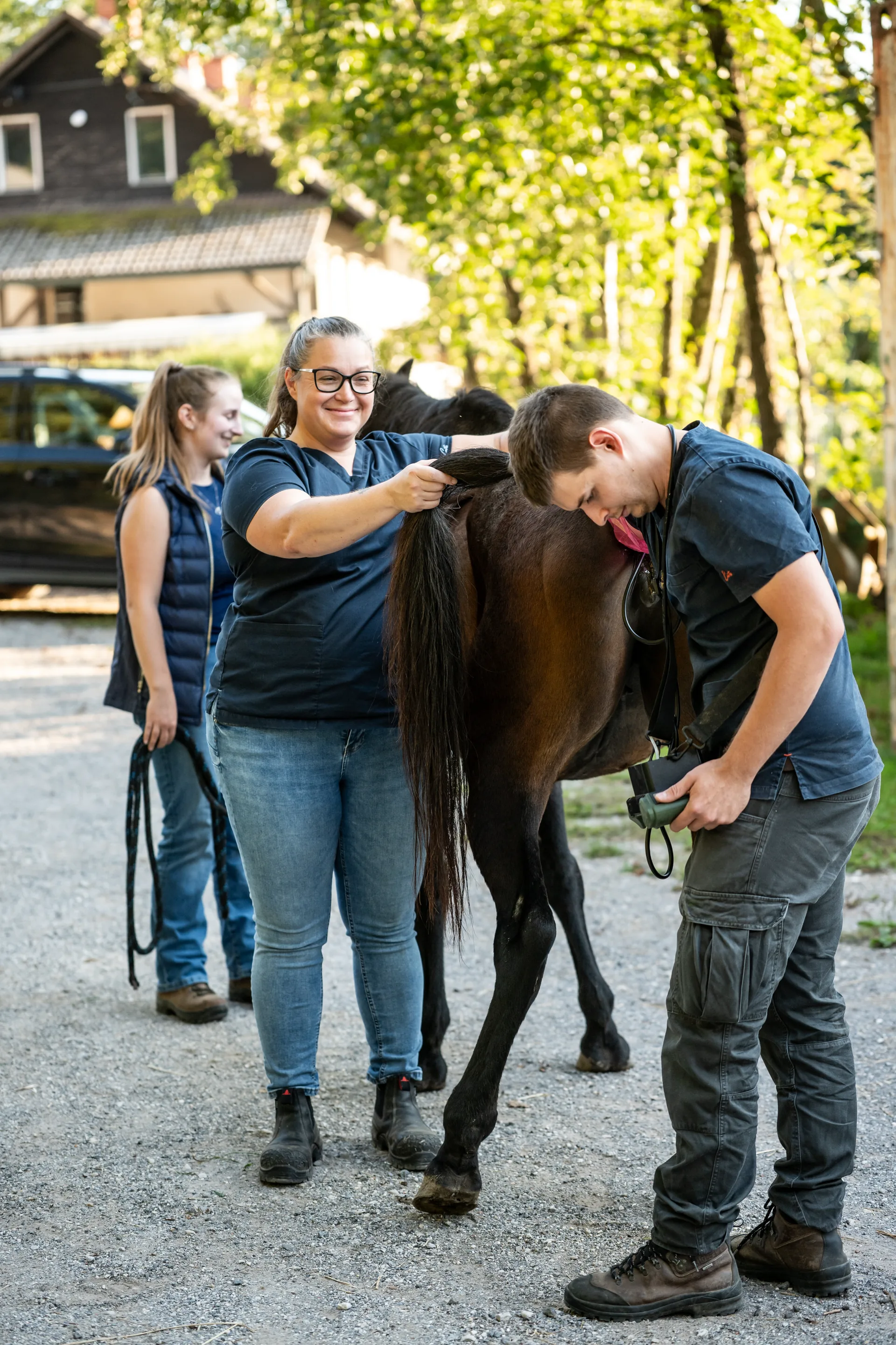 Veterinarska ekipa pri delu s konjem